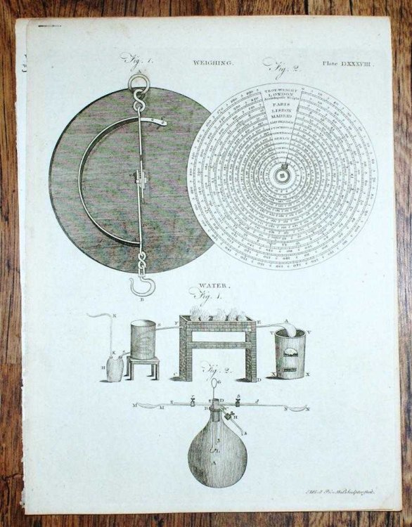 Engraved Plate from C19 Agricultural Book entitled 