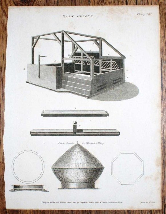 Engraved Plate from C19 Agricultural Book entitled 