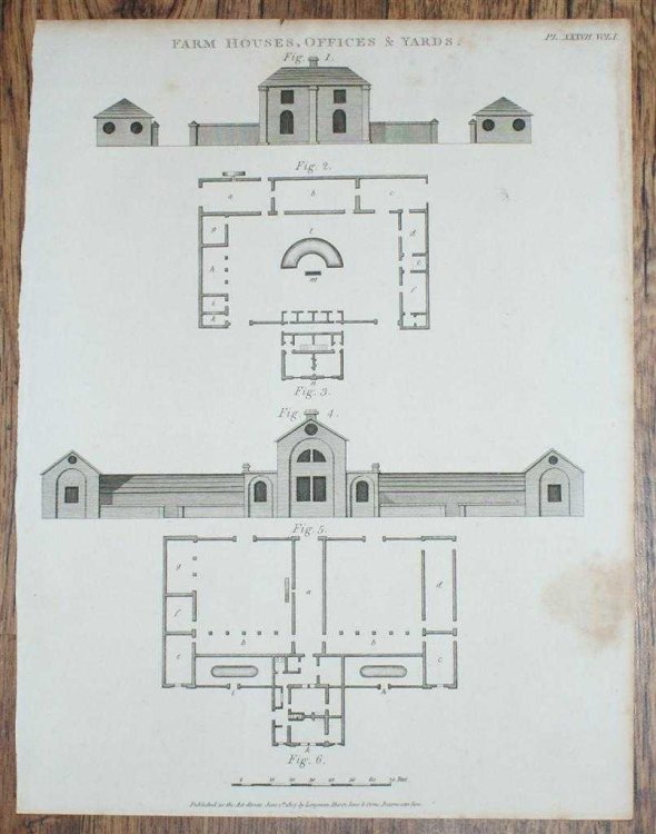 Engraved Plate from C19 Agricultural Book entitled 