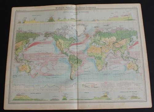 World Vegetation and Ocean Currents Map from the 1920 Times Atlas (Plate 4)