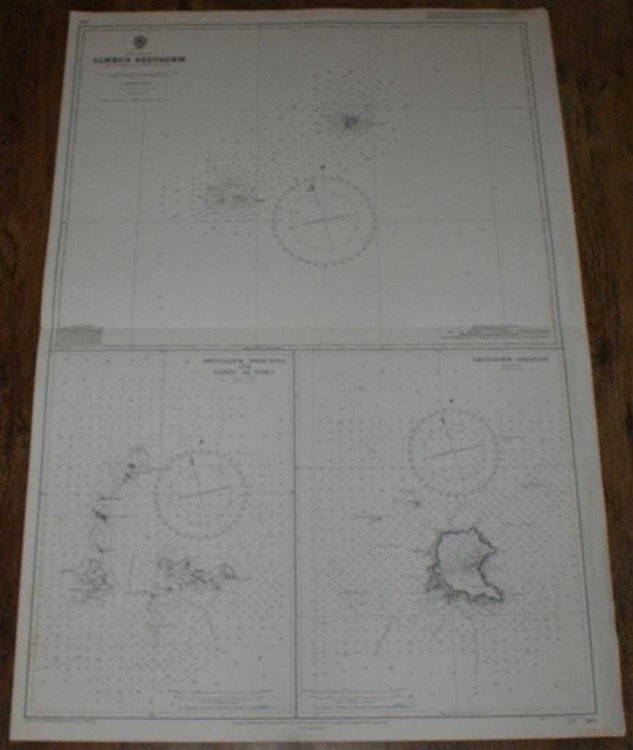 Nautical Chart No. 365 North Atlantic - Ilheus Selvagem (Savage or Salvage Islands)