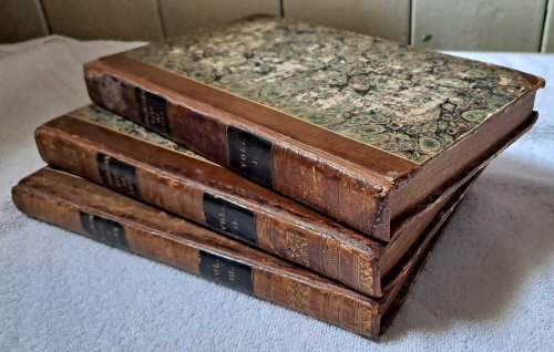 History and Description of City of York; Comprising All the Most Interesting Information, Already Published in Drake's Eboracum; Illustrated with a Neat Plan of the City, and Many Elegant Engravings. Two volumes (in 3 parts)