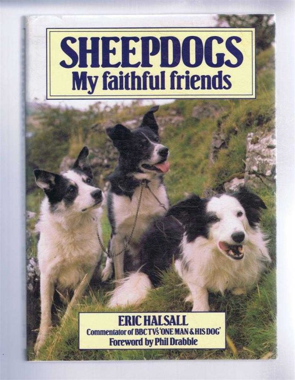Sheepdogs, My Faithful Friends
