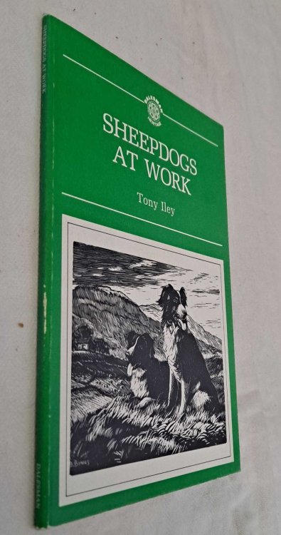 Sheepdogs at Work, One Man and his dogs