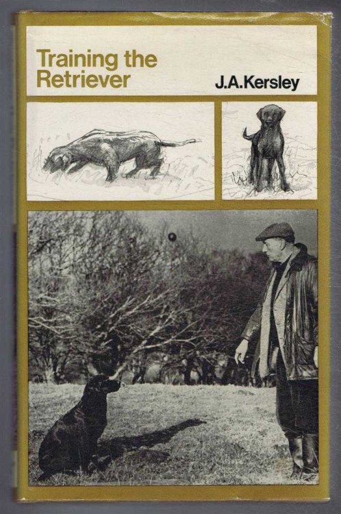 Training the Retriever