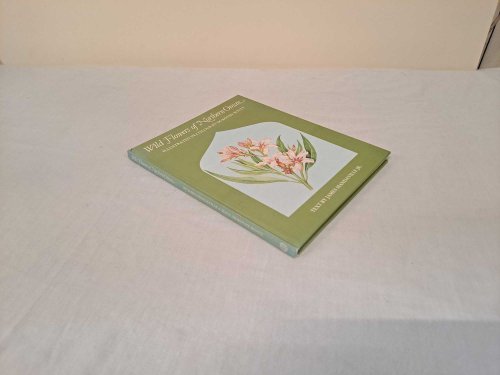 Wild Flowers of Northern Oman