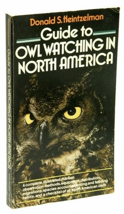 Guide to Owl Watching in North America