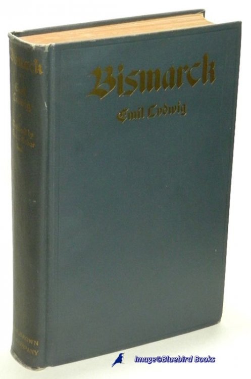 Bismarck, the History of a Fighter