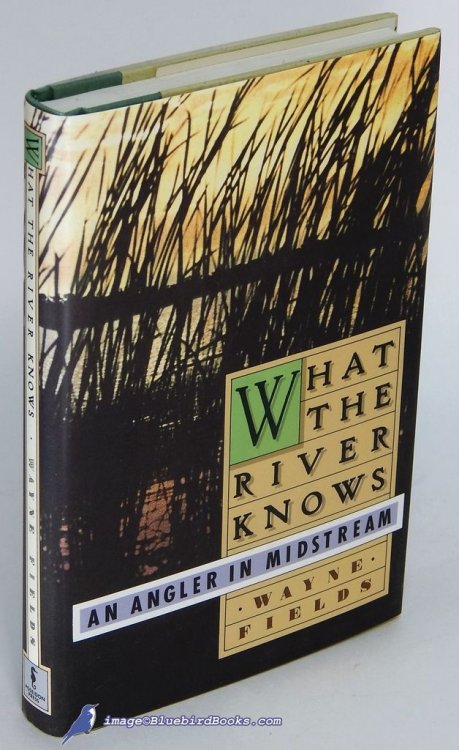 What the River Knows: An Angler in Midstream