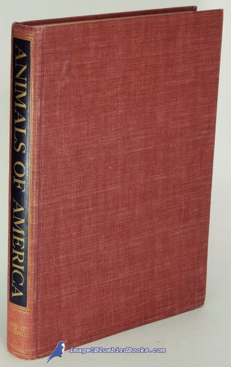 Animals of America - 