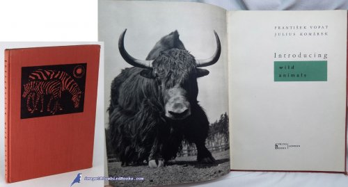 Introducing Wild Animals