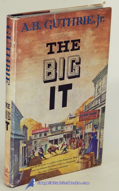 Image for The Big It (13 Short Stories) The Big It (13 Short Stories)
