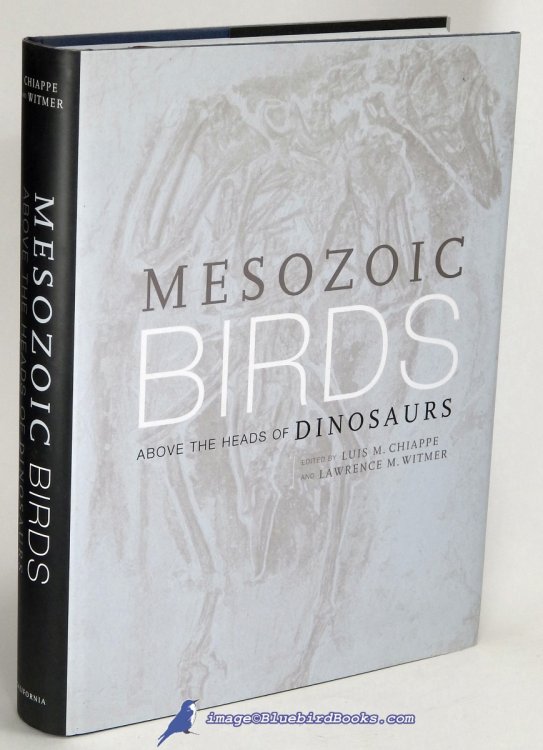 Mesozoic Birds: Above the Heads of Dinosaurs