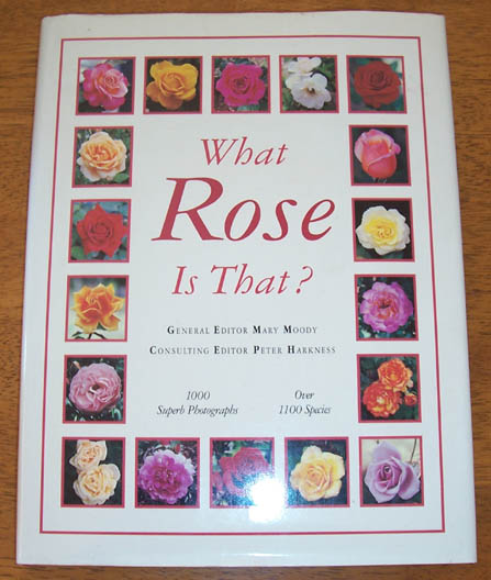 What Rose is That