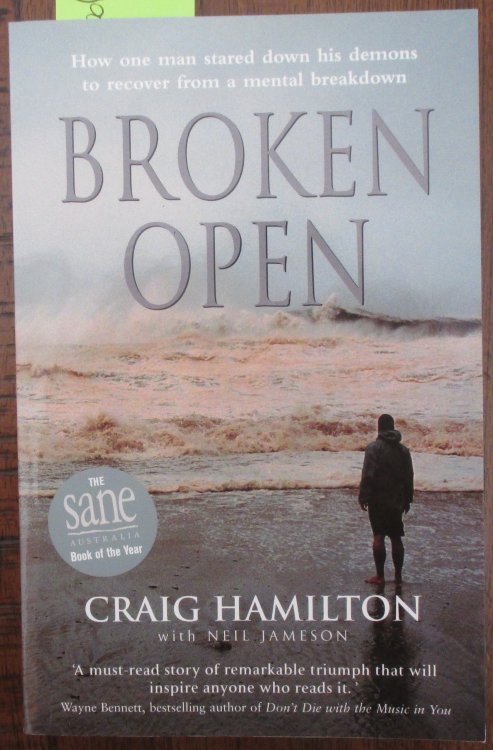 Broken Open: How One Many Satred Down His Demons to Revover From a Mental Breakdown