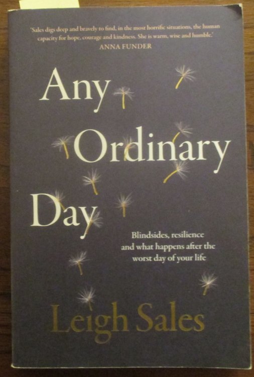 Any Ordinary Day: Blindsides, Resilience and What Happens After the Worst Day of Your Life