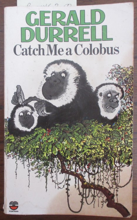 Catch Me a Colobus