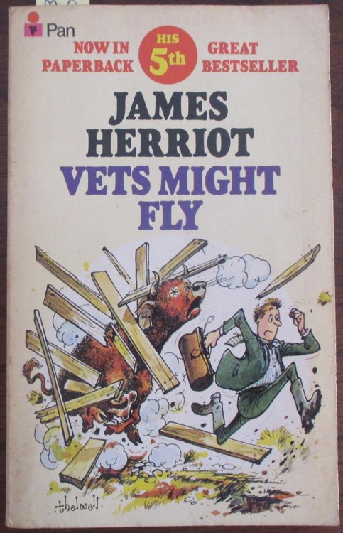 Vets Might Fly