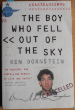 Boy Who Fell Out of the Sky, The