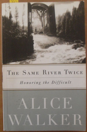 Same River Twice, The: Honoring the Difficult