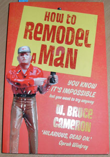 How to Remodel a Man: You Know Its Impossible But You Want to Try Anyway