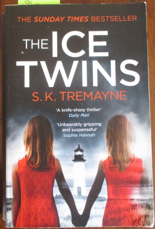 Ice Twins, The