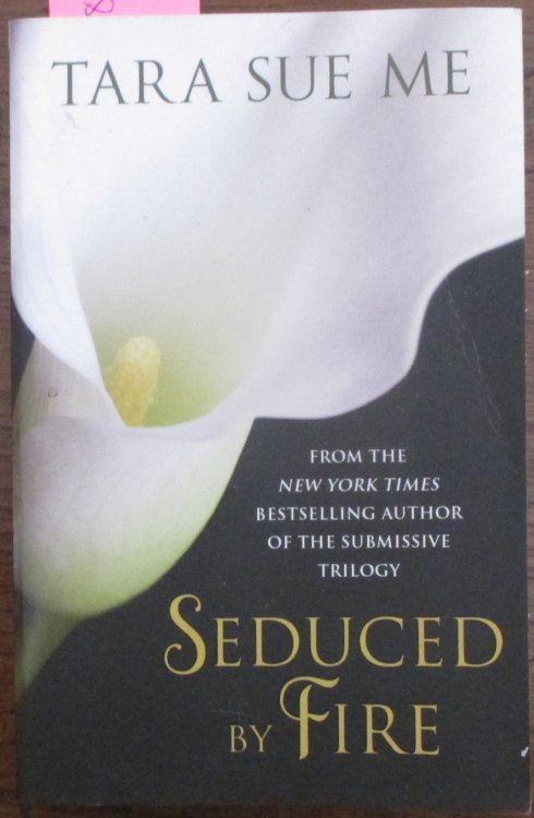 Seduce by Fire: A Partners in Play Novel