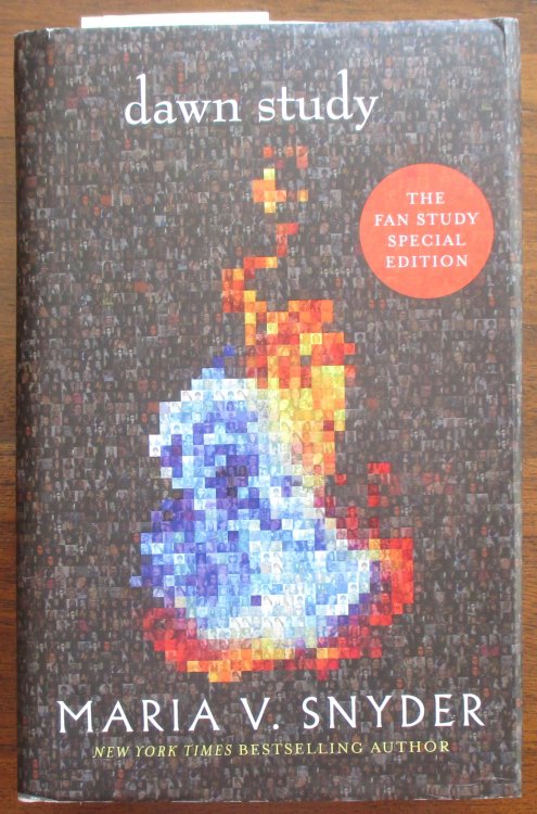 Dawn Study: Soulfinder Series #3