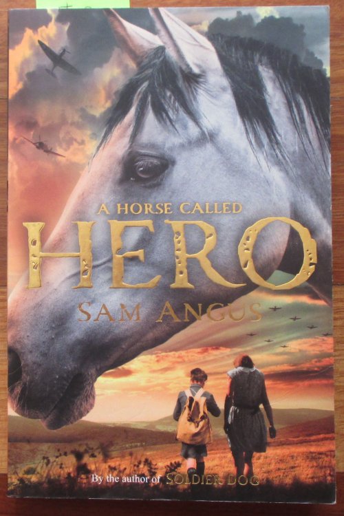 Horse Called Hero, A