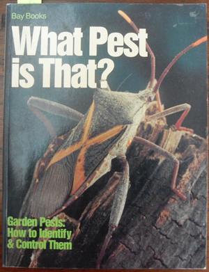 What Pest is That - Garden Pests: How to Identify & Control Them