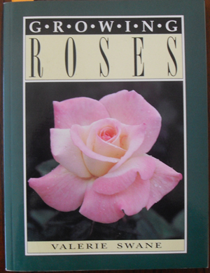 Growing Roses