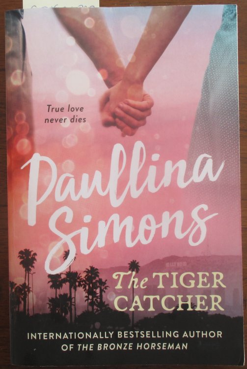 Tiger Catcher, The: End of Forever Saga #1