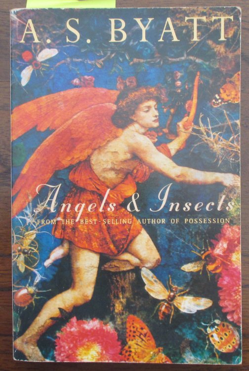 Angels & Insects