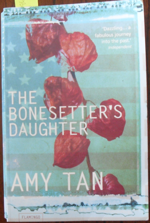 Bonesetter's Daughter, The