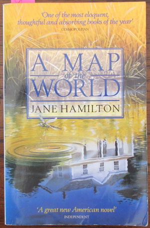 Map of the World, A