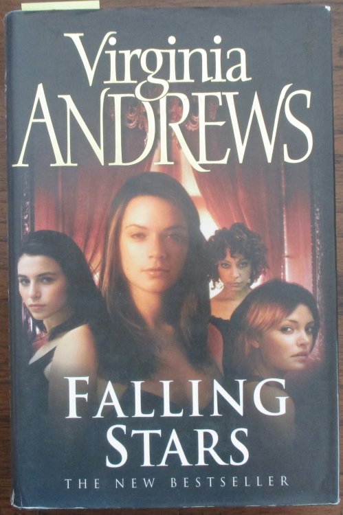Falling Stars: The Shooting Stars Series #4