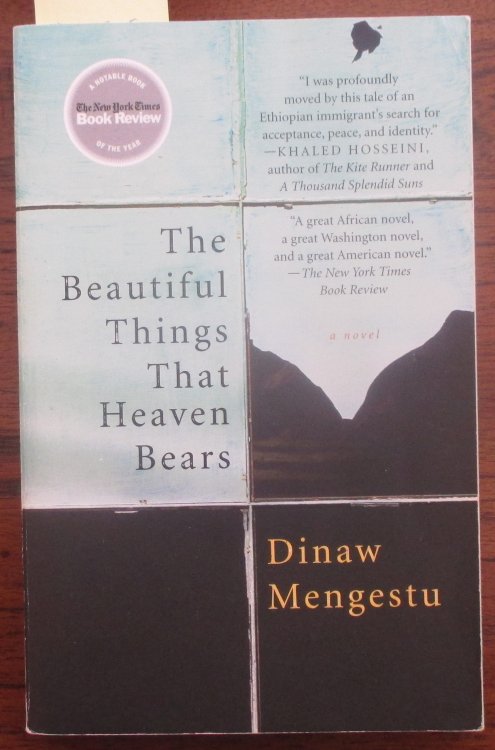 Beautiful Things That Heaven Bears, The