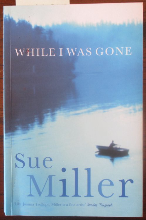 While I Was Gone