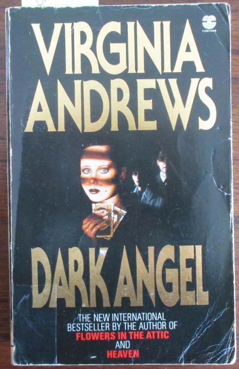 Dark Angel: The Casteel Family Series #2
