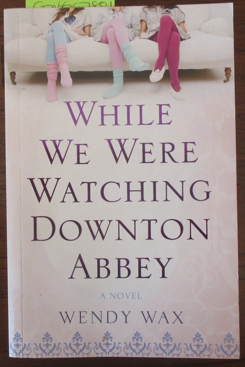 While We Were Watching Downton Abbey: A Novel