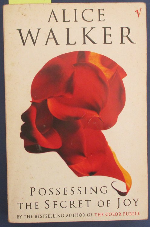 Possessing the Secret of Joy