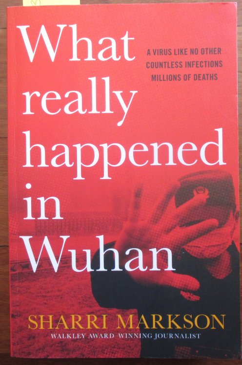 What Really Happened in Wuhan