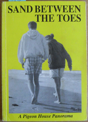 Sand Between the Toes: A Pigeon House Panorama