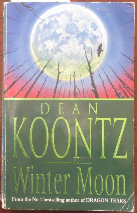 Winter Moon