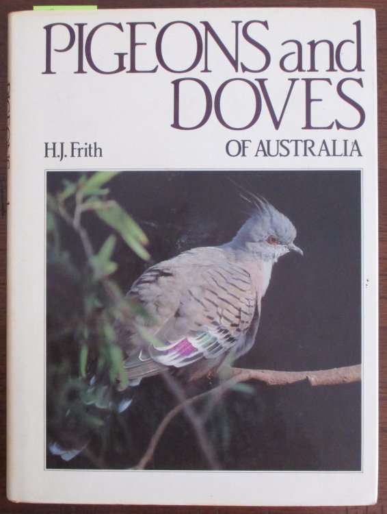 Pigeons and Doves of Australia