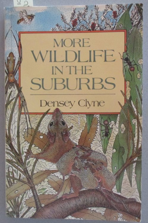 More Wildlife in the Suburbs