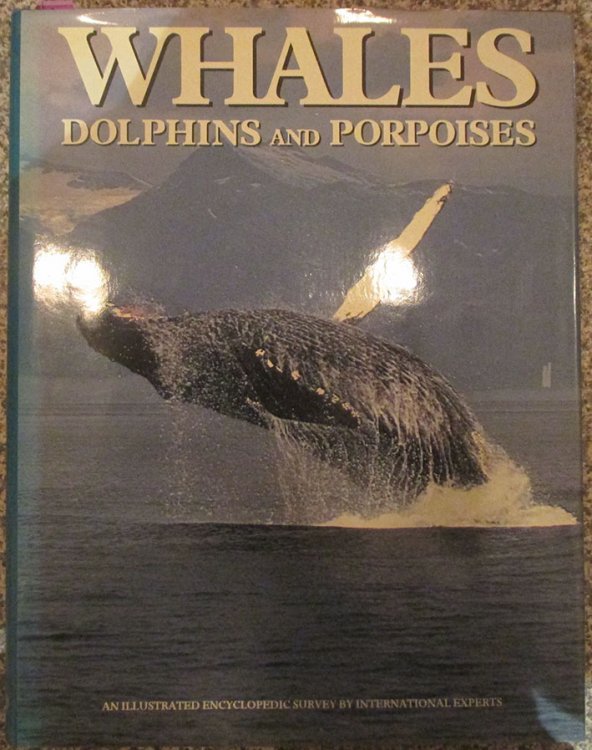 Whales, Dolphins and Porpoises