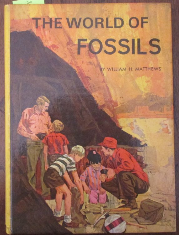 World of Fossils, The