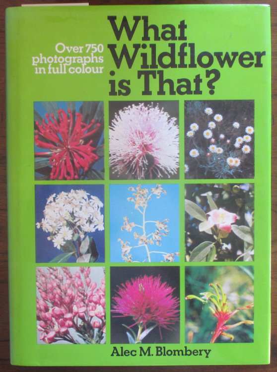 What Wildflower Is That