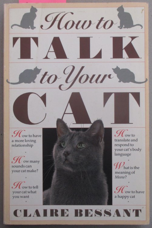 How to Talk to Your Cat